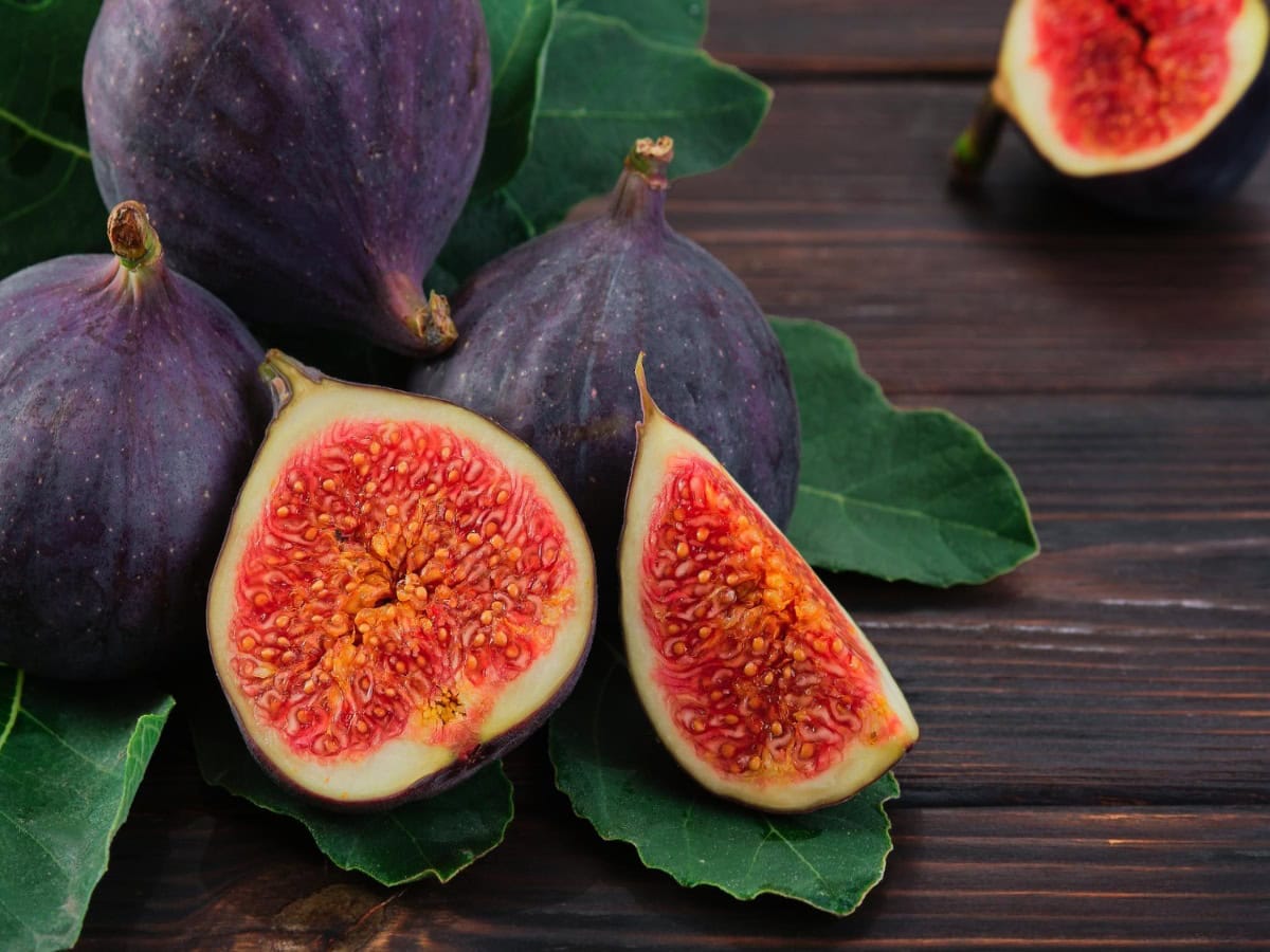 Propogating Figs