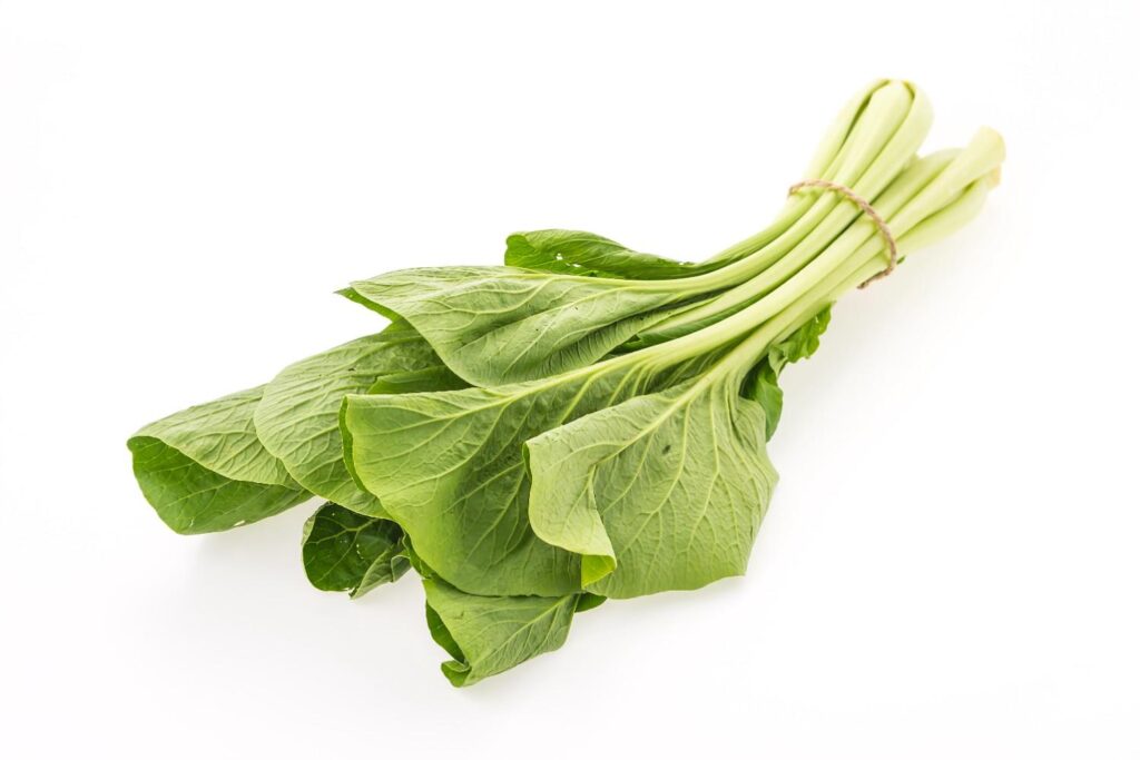 Unlock the Best Fall Vegetables for Your Garden