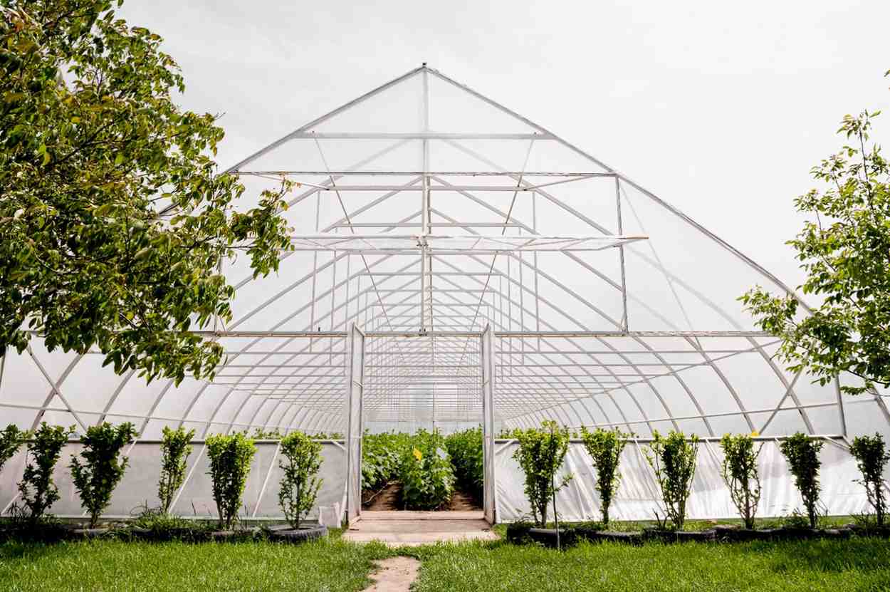Greenhouse Farming