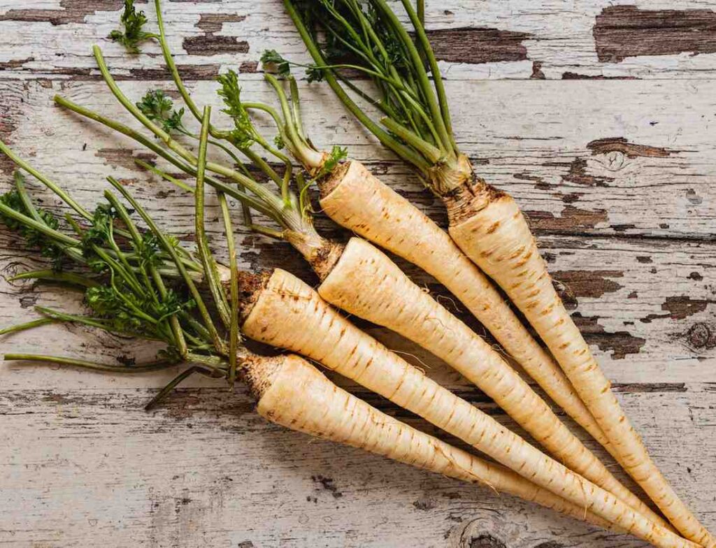 Unlock the Best Fall Vegetables for Your Garden