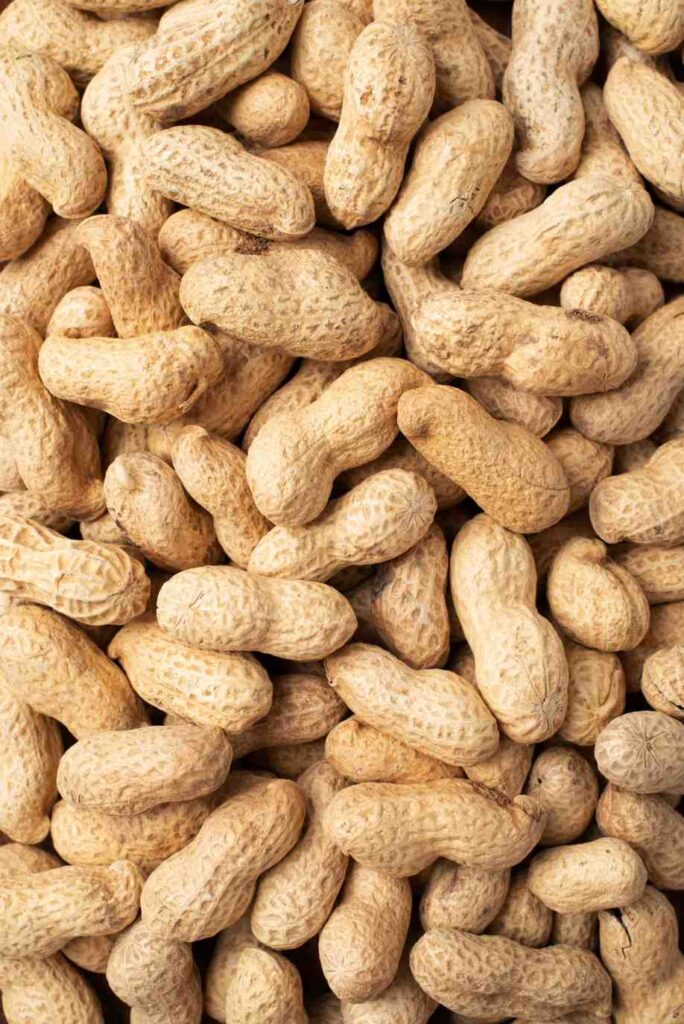 The Ultimate Guide to Growing and Caring for Peanut Plants