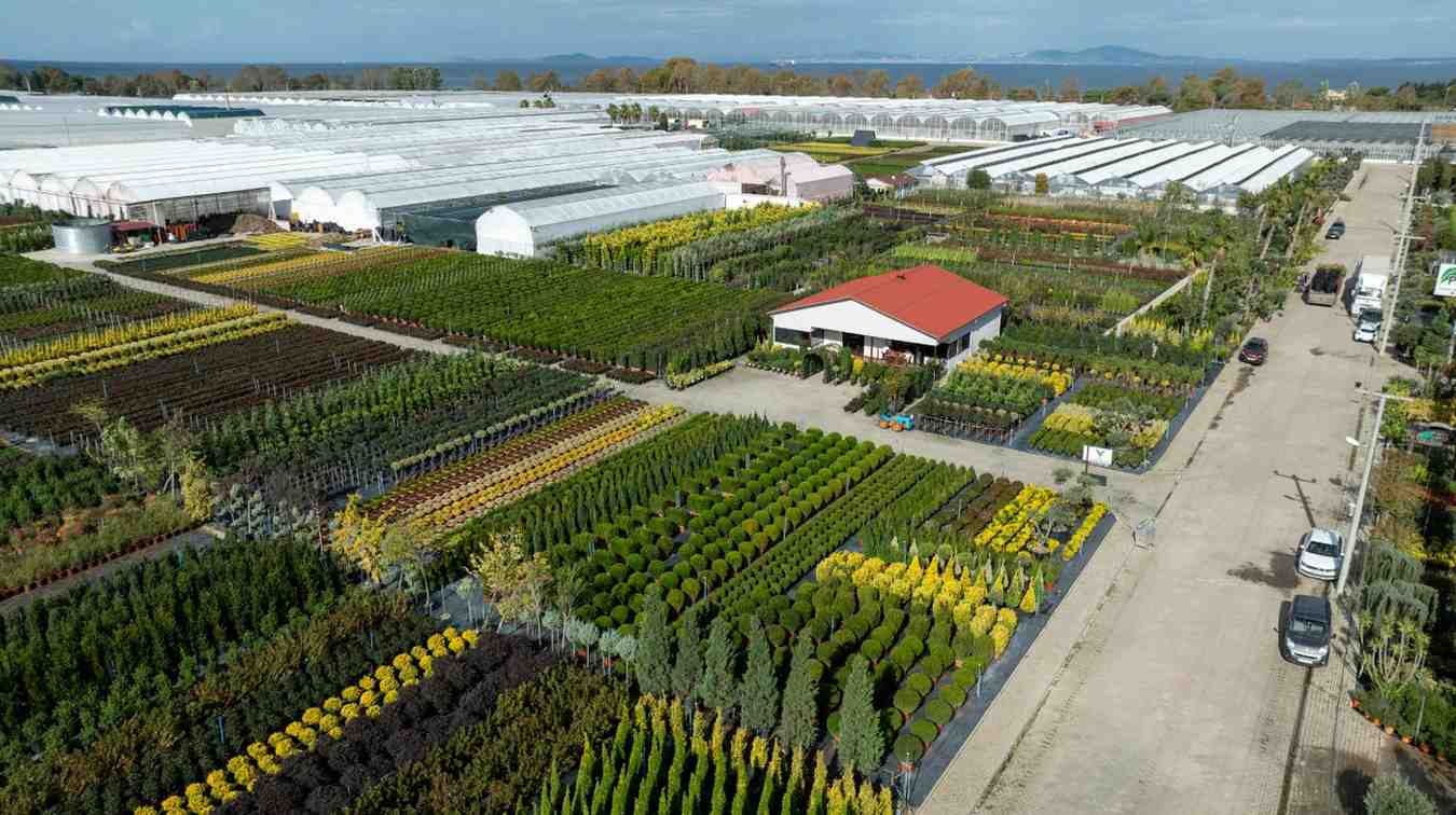 Commercial Agriculture