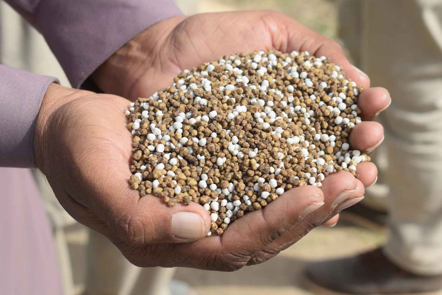 How Organic Fertilizers Boost Crop Yields Naturally