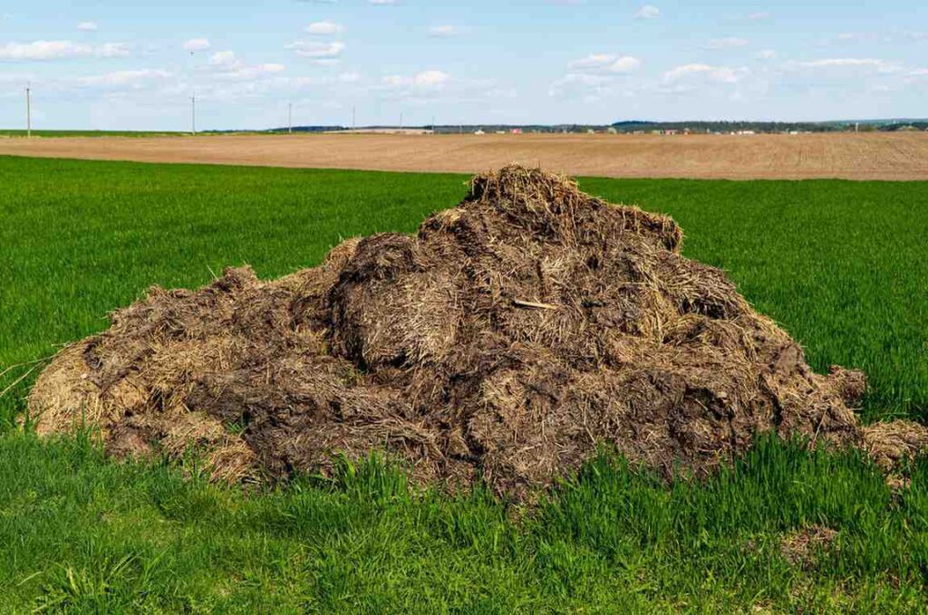 Why Farmers Add Manure & Fertilizers: The Real Reason