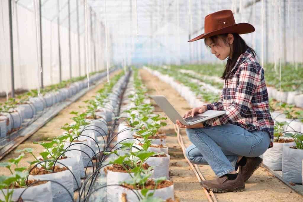 How to Water Raised Bed Gardens Like a Pro