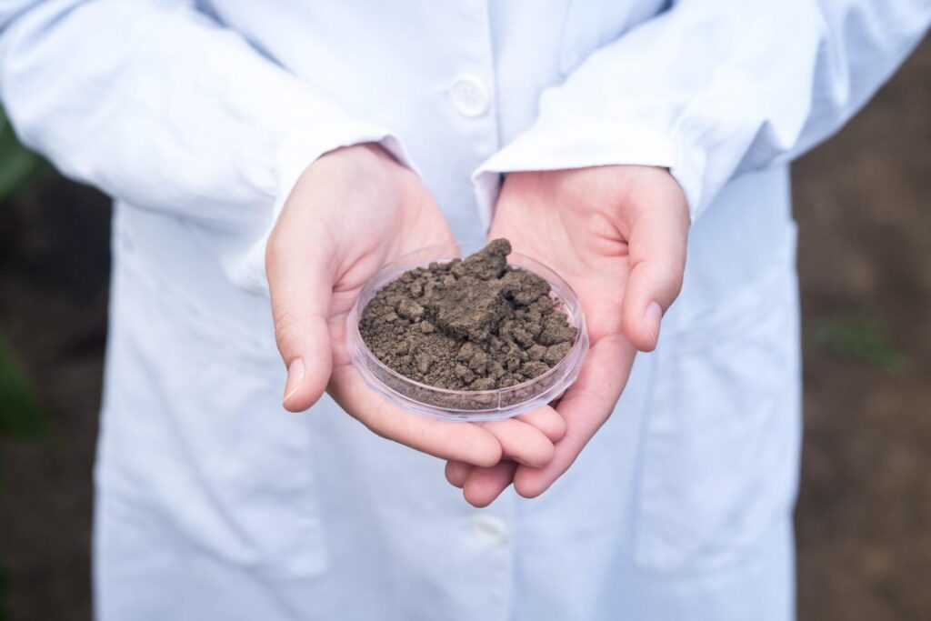 The Ultimate Guide to Taking a Soil Test for Your Garden