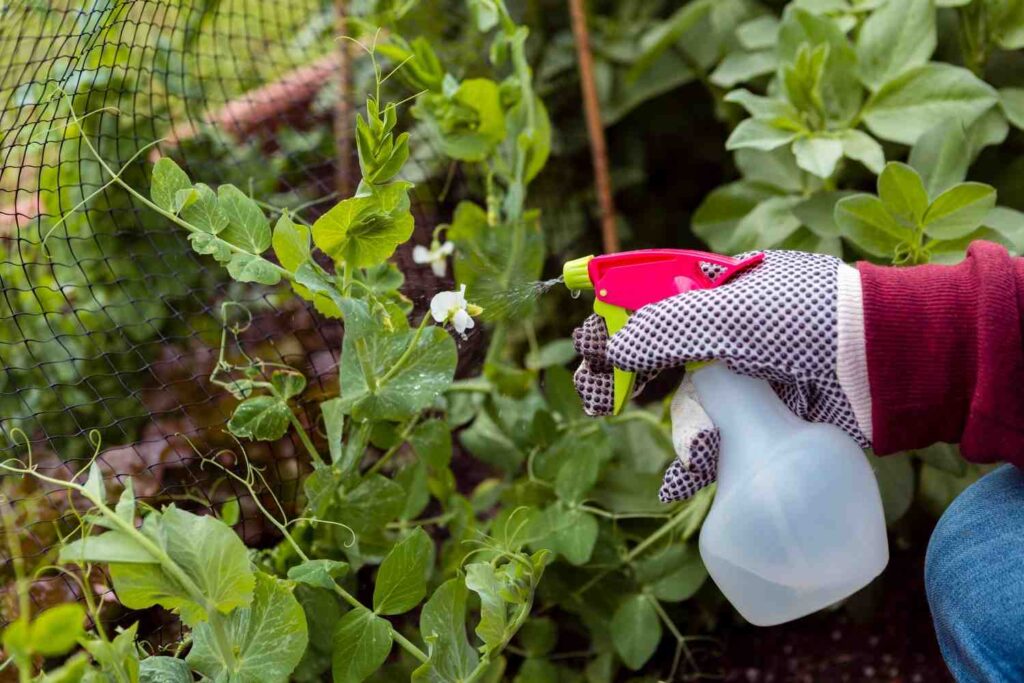 11 Natural Ways to Safely Protect Your Garden from Pests