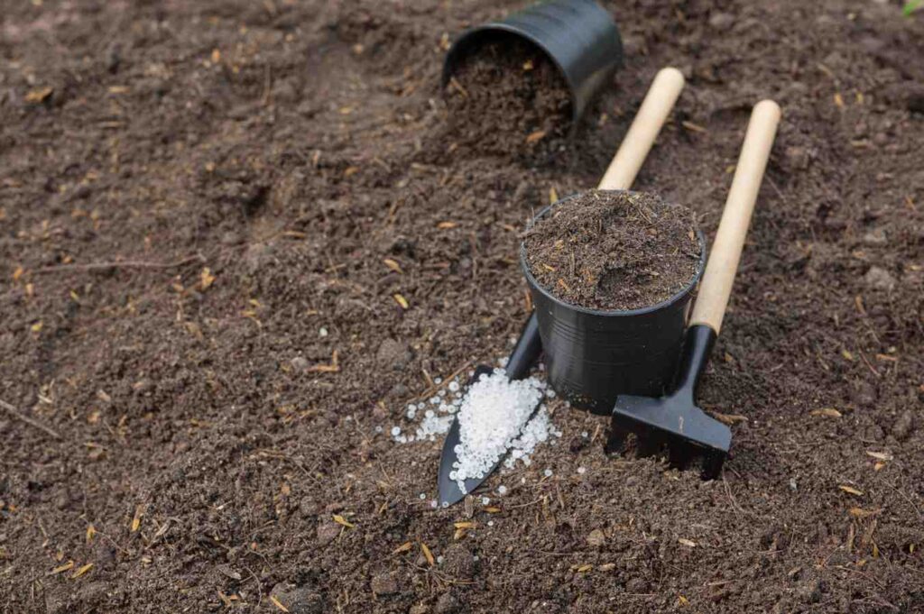 Boost Soil Health: 20 Tips for Thriving Crops & Healthier Soil