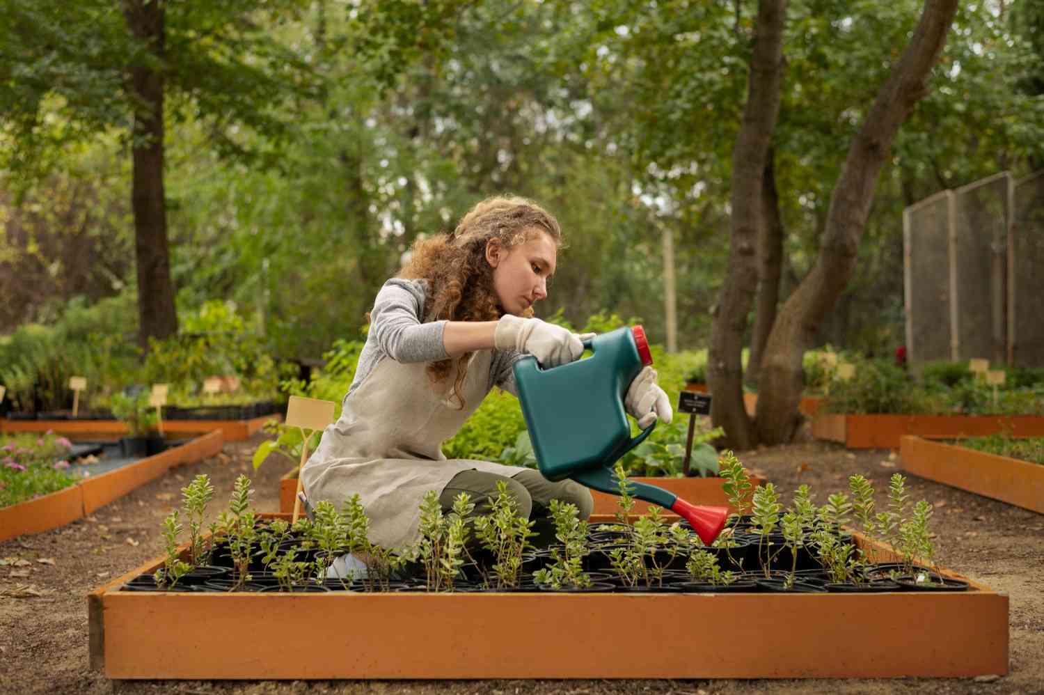 Sustainable Gardening Tips: Grow a Healthier, Eco-Friendly Garden