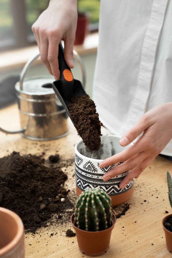 Is Topsoil Right for Pots? Discover the Truth!