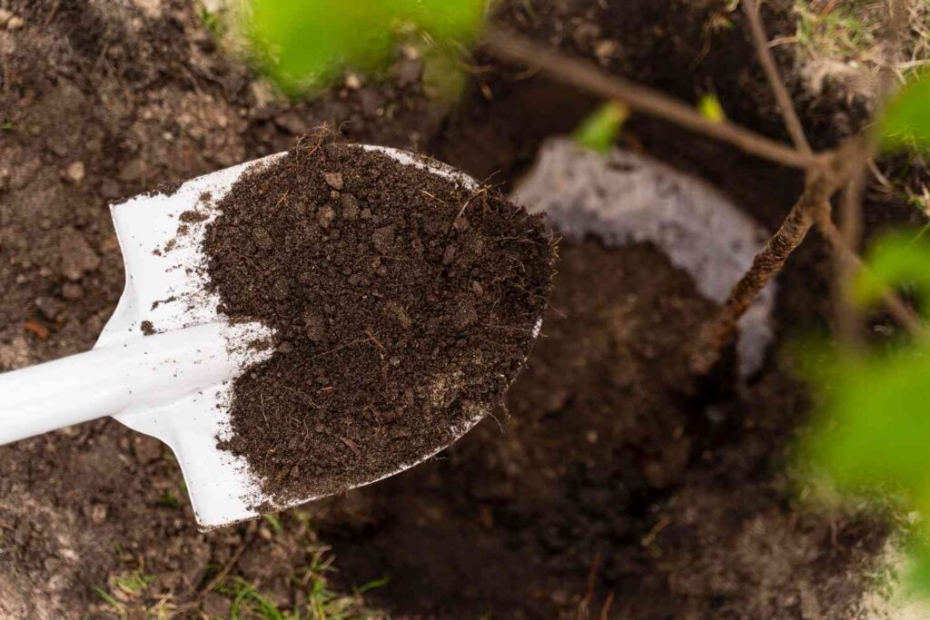How Manure and Fertilizers Improve Soil Health and Crop Yields