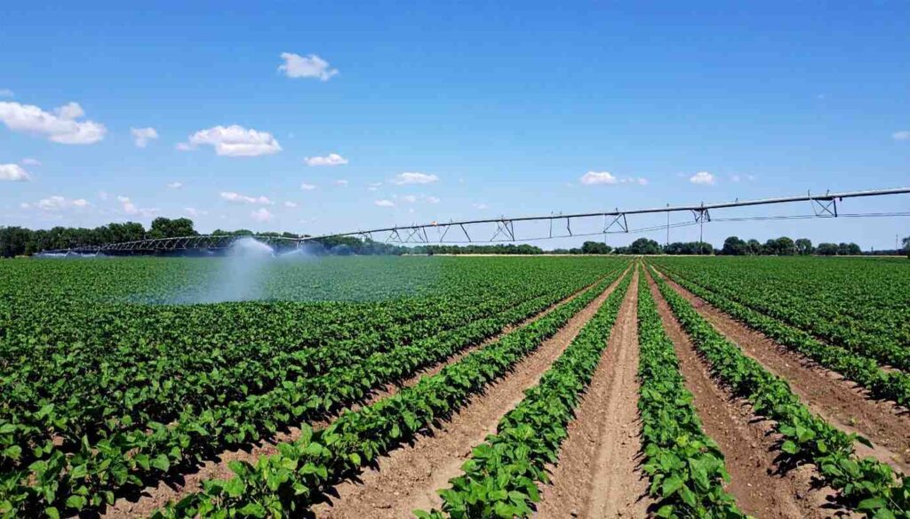 Boost Crop Yields Today: Discover Top Irrigation Systems