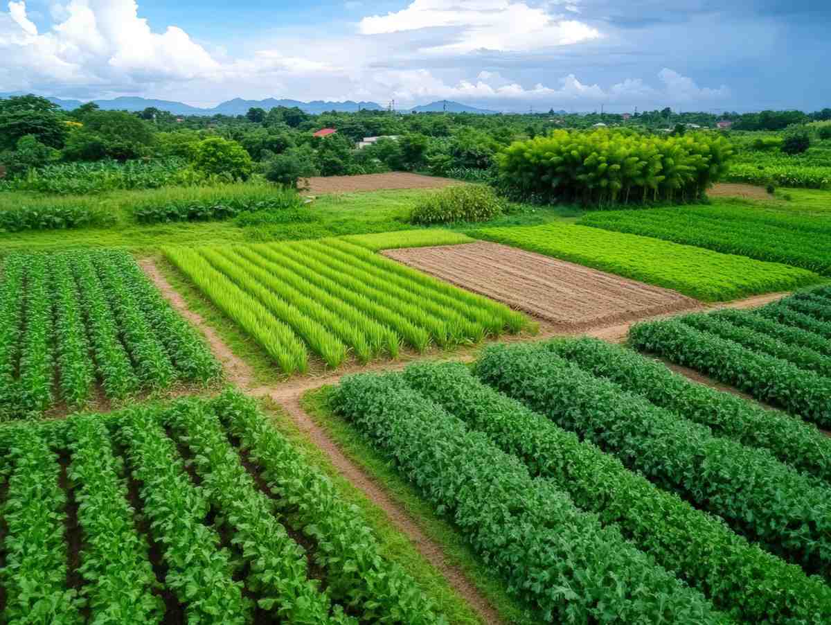 7 Climate-Resilient Crops to Grow for a Tougher Future