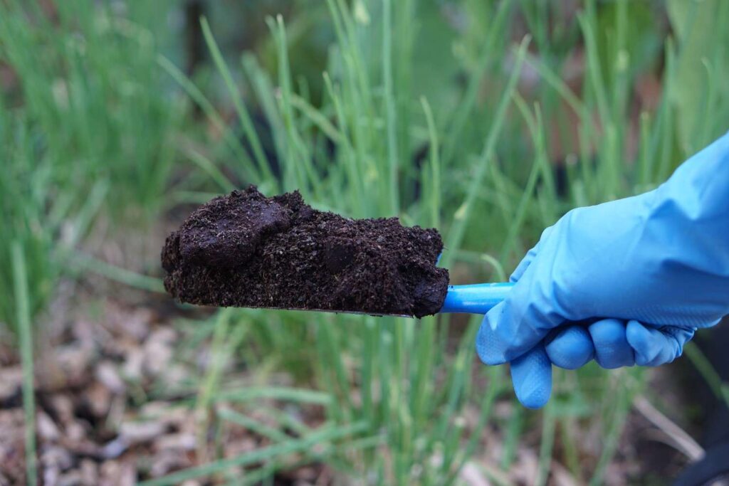 The Key Difference Between Manure and Fertilizers Explained