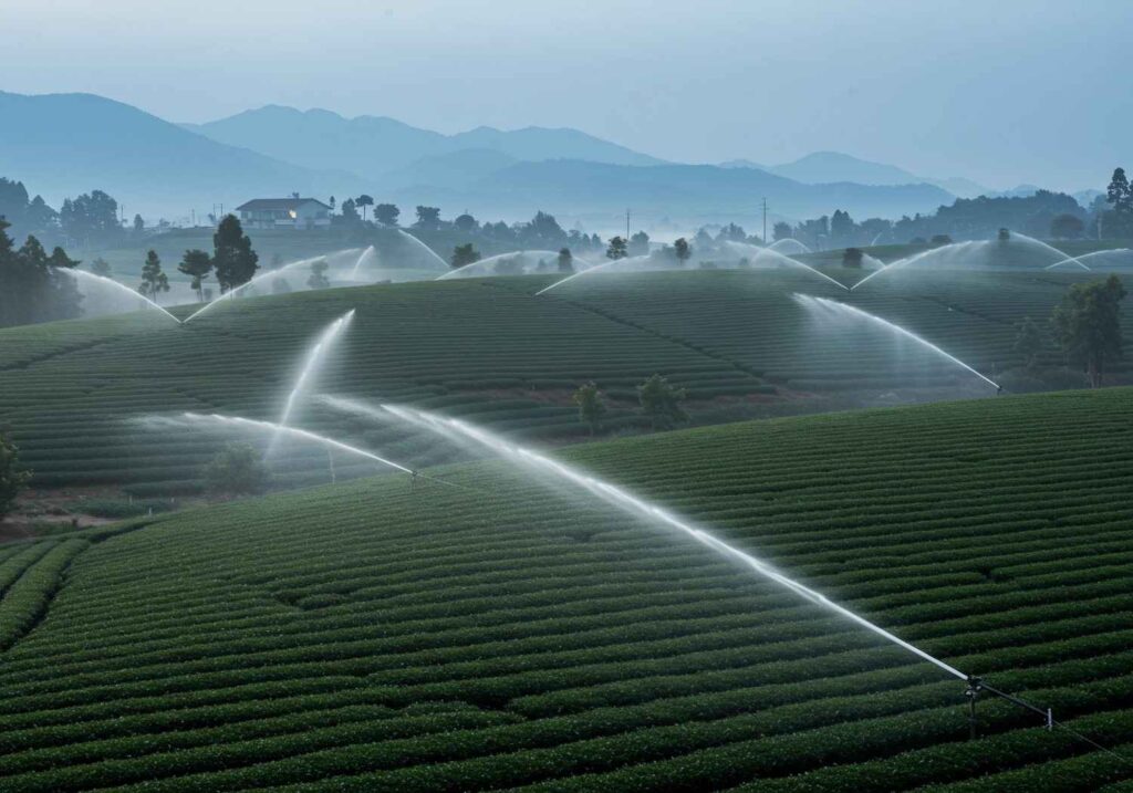 Boost Crop Yields Today: Discover Top Irrigation Systems