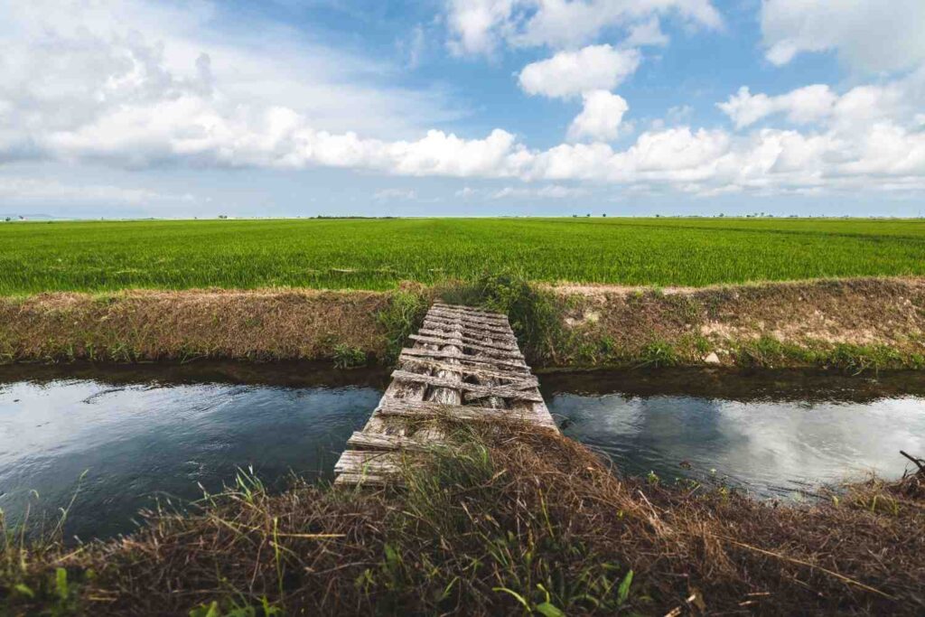  Boost Crop Yields Today: Discover Top Irrigation Systems