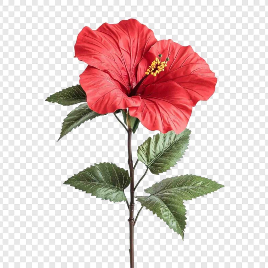 Discover the Top 10 Stunning Summer Flowers in India for Your Garden