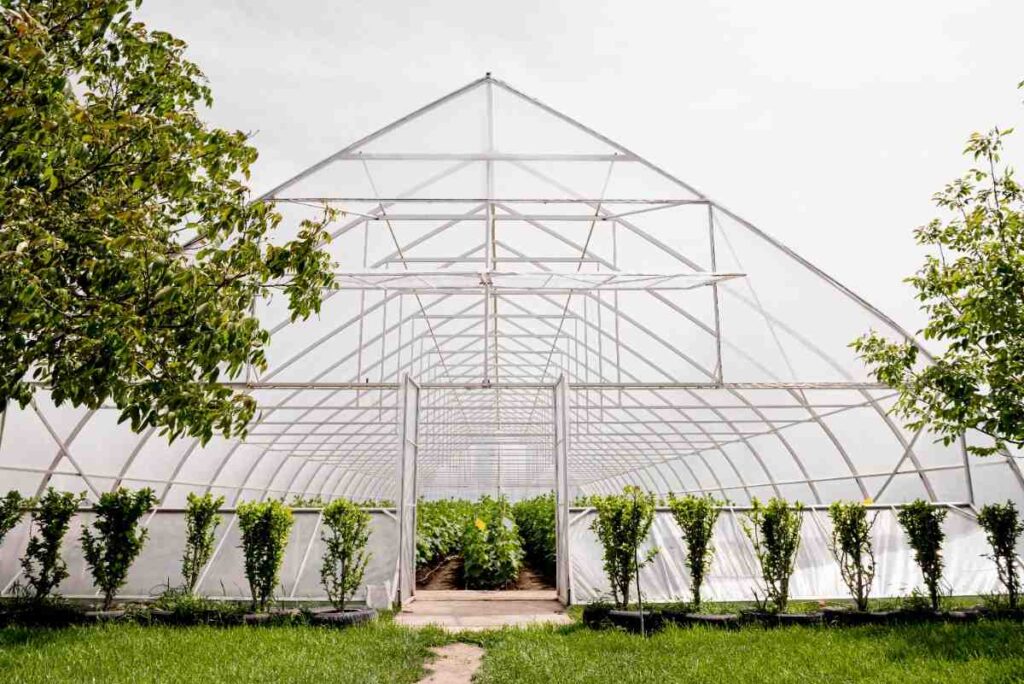 Greenhouse Farming