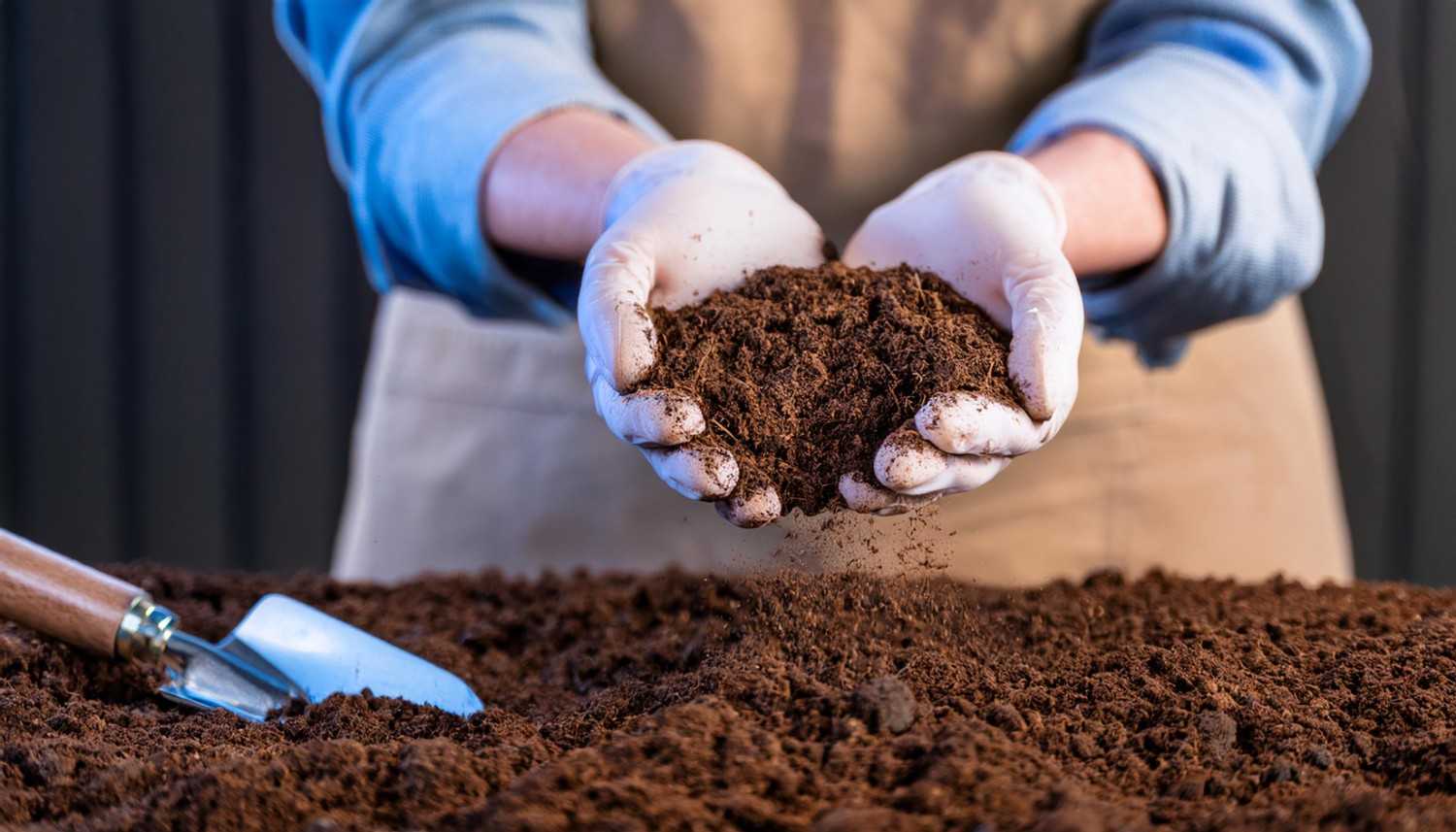 Unlock Your Field's Secrets with Post-Harvest Soil Testing
