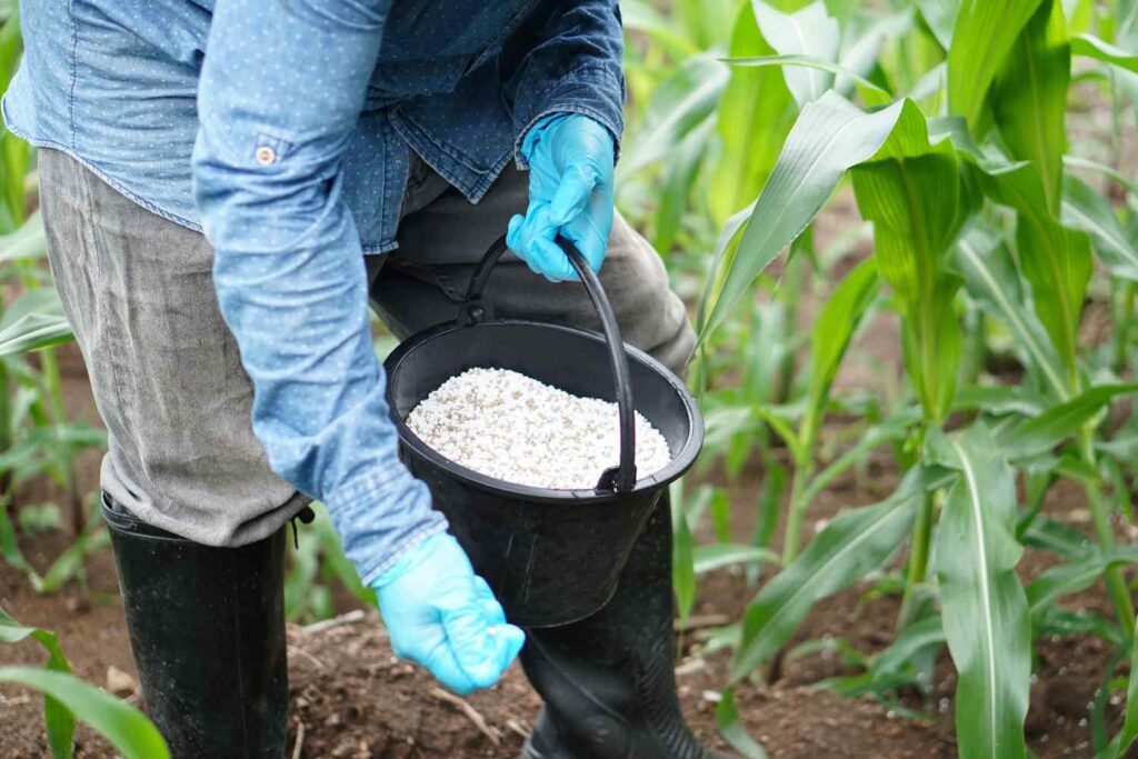 Types of Fertilizers: Discover the Best for Your Crops - Which One is Right for You?