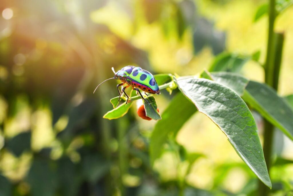 Stop Greenhouse Pests Now: Identify & Manage Greenhouse Pest Control Tips