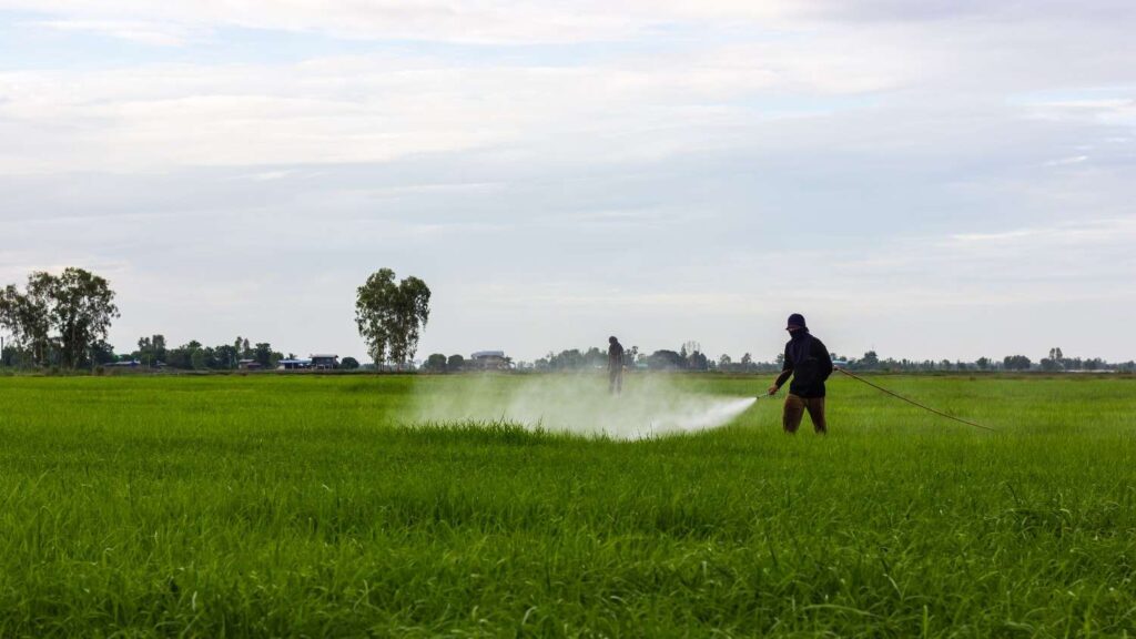 Organic Herbicides: Can Natural Weed Killers Compete?