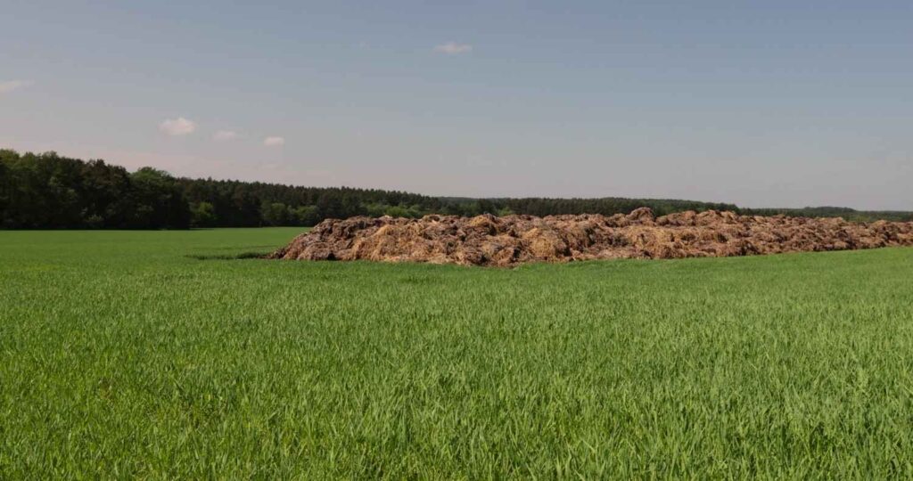 Unlock the Secrets of Organic Farming in India: Benefits & Methods You Need to Know