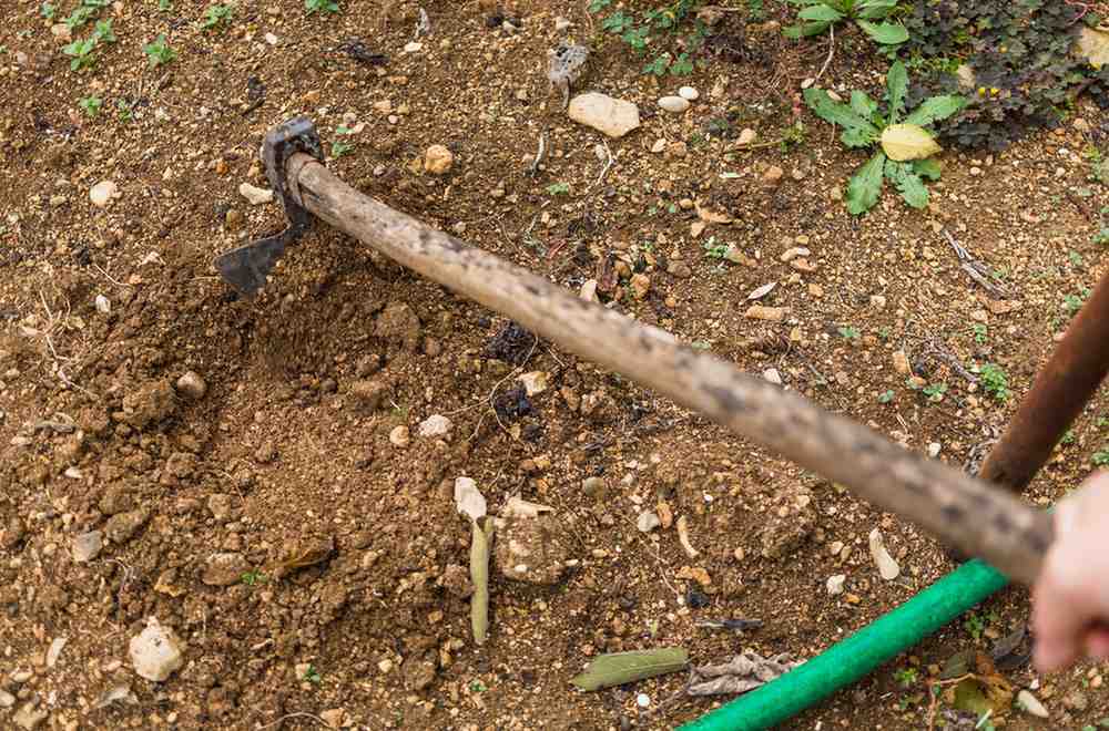 12 Natural Ways to Banish Weeds from Your Garden