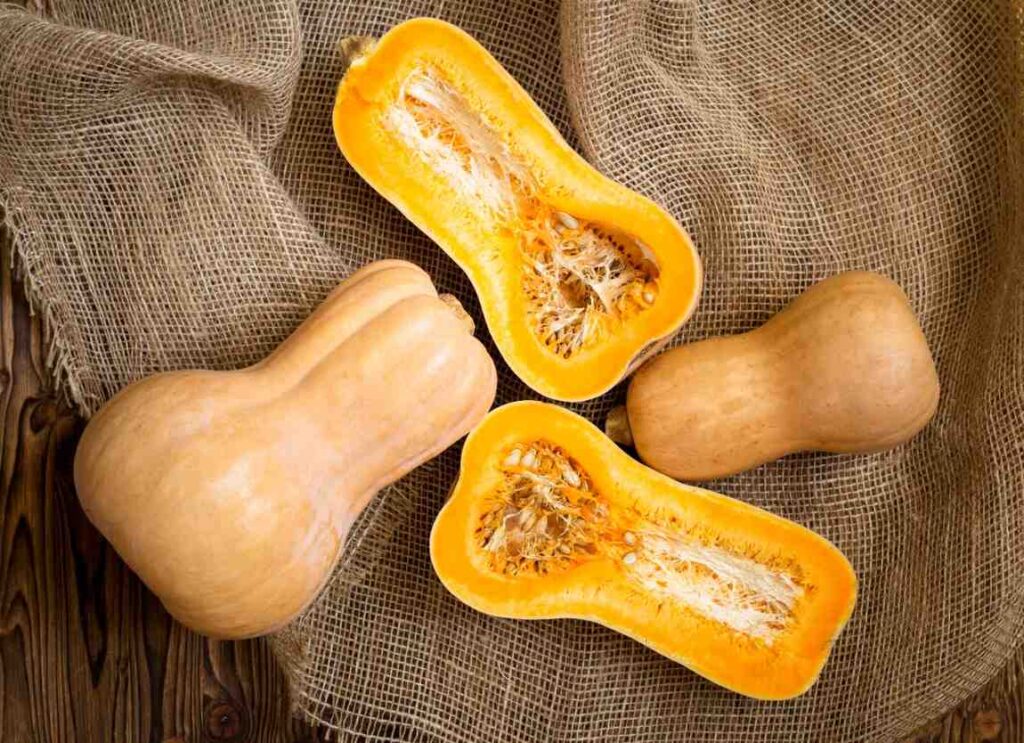 Harvesting Winter Squash: Pick, Cure & Store for Months