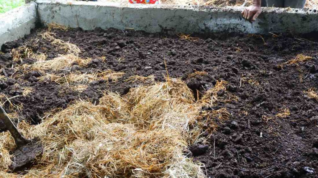 Master Vermicomposting in 7 Days: A Step-by-Step Guide to Success