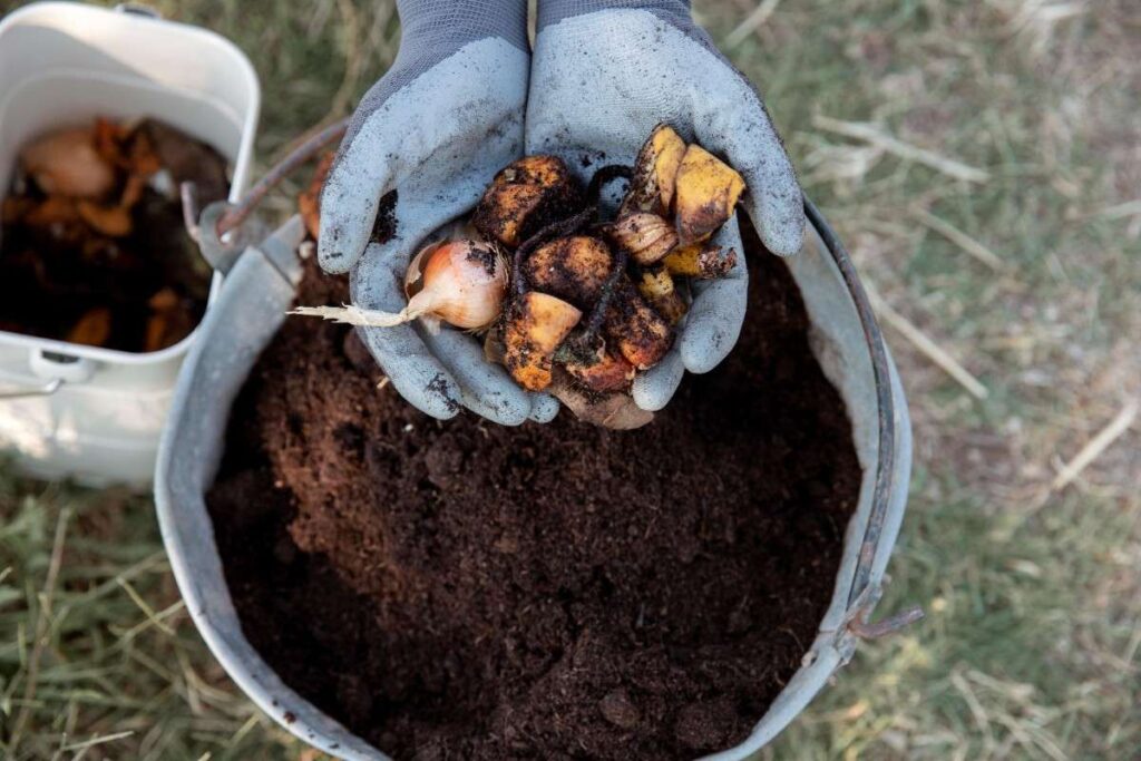 Composting Explained: What to Compost, What to Avoid & How to Do It Right