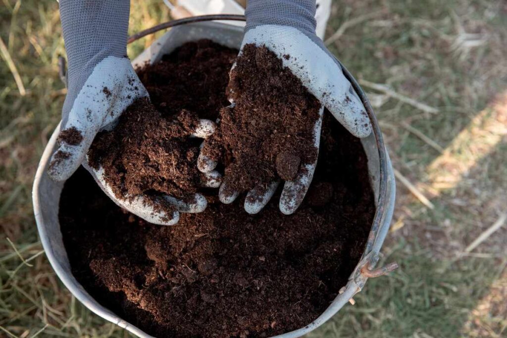Composting Explained: What to Compost, What to Avoid & How to Do It Right