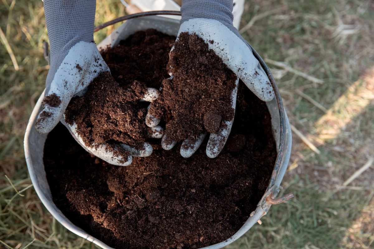 Composting Explained: What to Compost, What to Avoid & How to Do It Right