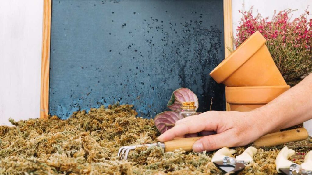 Worm Farming in Hot and Dry Climates: Proven Methods That Work