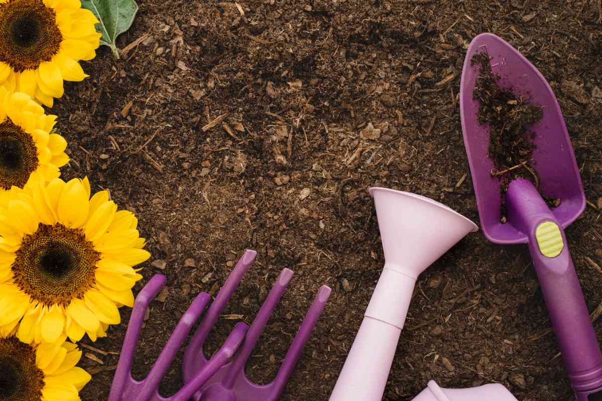 Sunflower Compost Benefits: Turn Garden Waste into Gold
