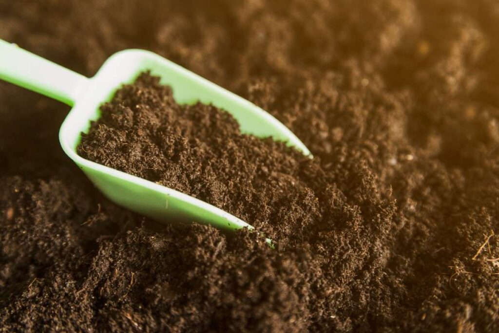 Cow Manure Explained: Nutrients, Benefits & Safe Use