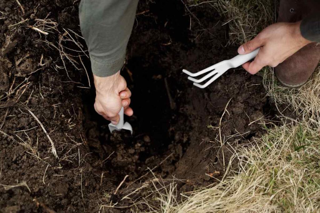 Compost Livestock Manure: Turn Barn Waste into Garden Gold