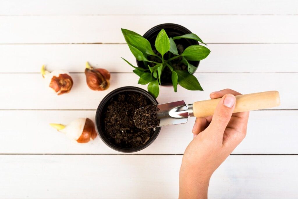 Compost Tea Explained: How to Brew It Safely, Use It Correctly, and Avoid Costly Mistakes