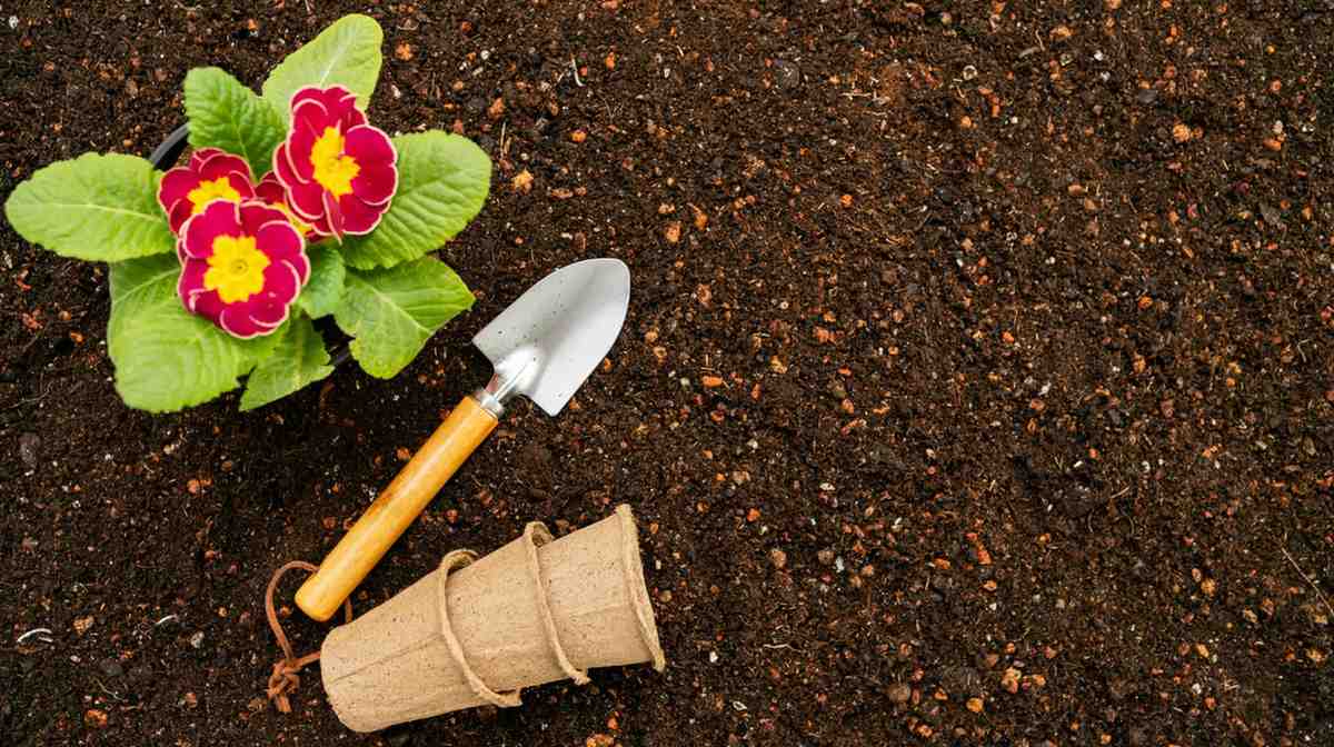 Prepare Garden Soil for Winter the Right Way: Essential Steps for a Healthy Spring Garden